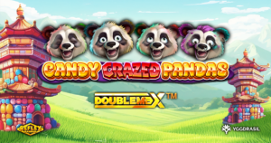 candy crazed pandas doublemax